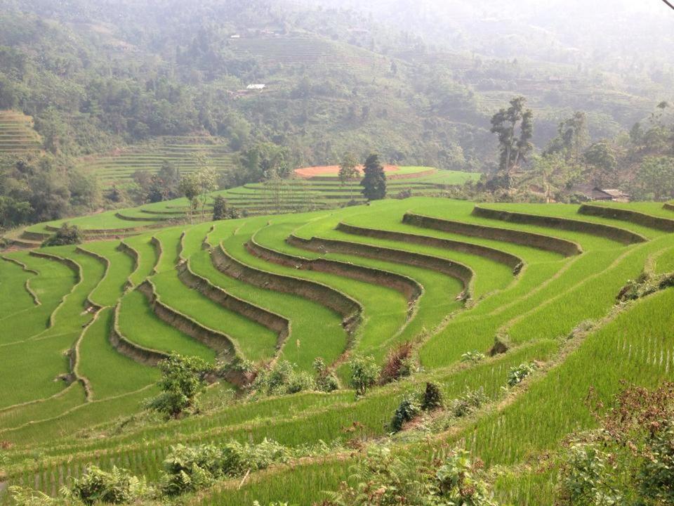 Ngan Nga Bac Ha Hotel Exteriér fotografie